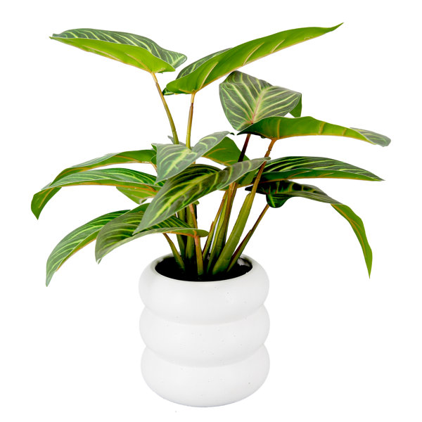 Primrue 16" Artificial Elephant Ear Plant in Pot Wayfair